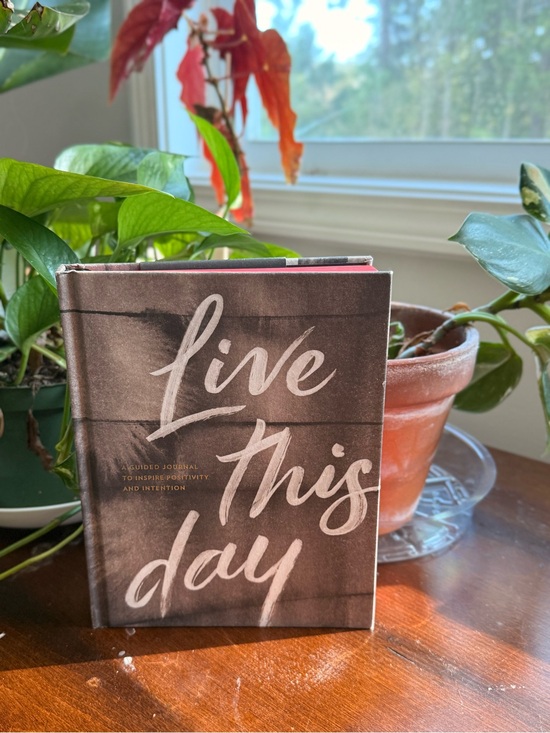 Other - Live This Day Guided Journal Sugarboo Hardcover Blank Pages